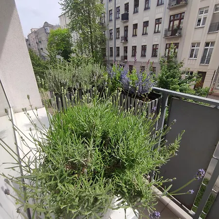 Lawendowy Balkon Łódź