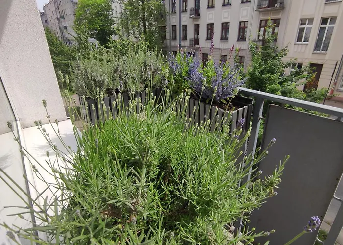 Lawendowy Balkon Łódź